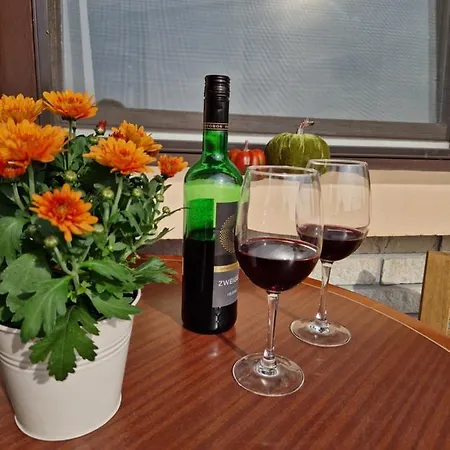 Balaton Panzio Fuered Bed & Breakfast *
