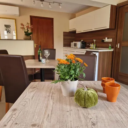 Balaton Panzio Fuered 3* באלאטונפורד