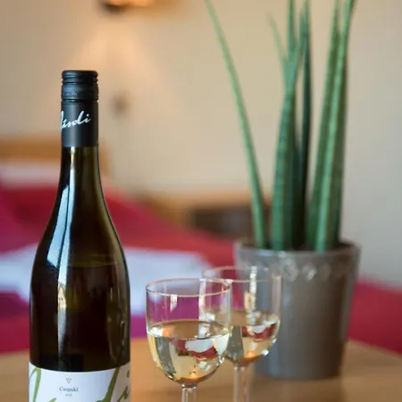 Balaton Panzio Fuered