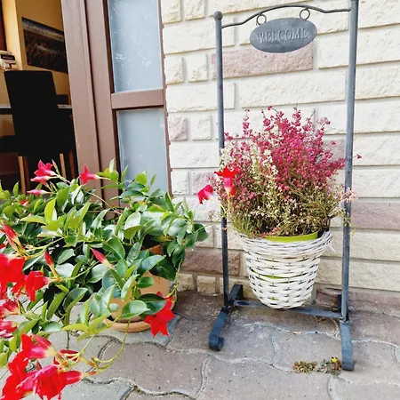 לינה וארוחת בוקר Balaton Panzio Fuered באלאטונפורד