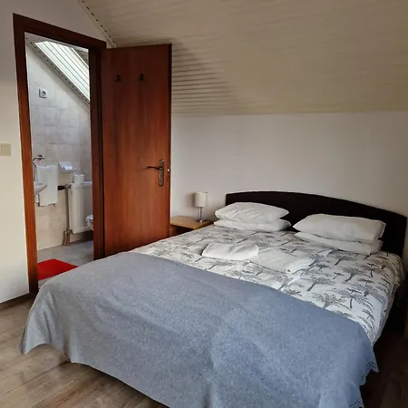 לינה וארוחת בוקר Balaton Panzio Fuered 3*