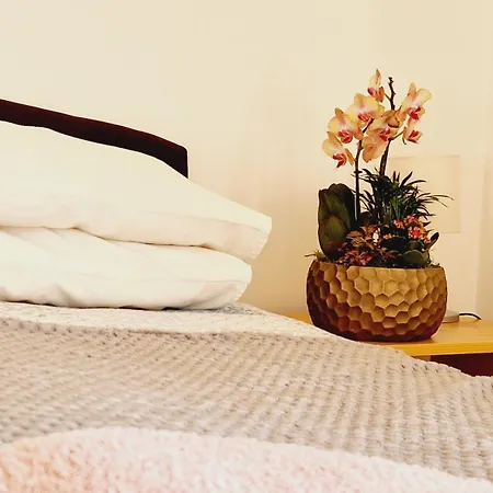 לינה וארוחת בוקר Balaton Panzio Fuered באלאטונפורד