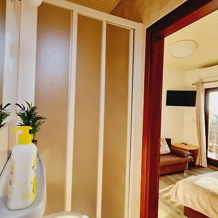 לינה וארוחת בוקר Balaton Panzio Fuered 3*