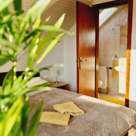 Balaton Panzio Fuered לינה וארוחת בוקר