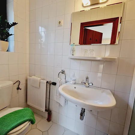 Balaton Panzio Fuered לינה וארוחת בוקר באלאטונפורד