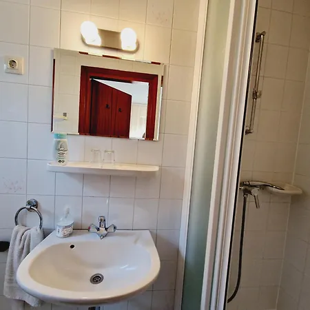 לינה וארוחת בוקר Balaton Panzio Fuered באלאטונפורד